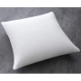Housse d'Oreiller Absorbante Anti-Acariens en Coton - TODAY 60x60 cm