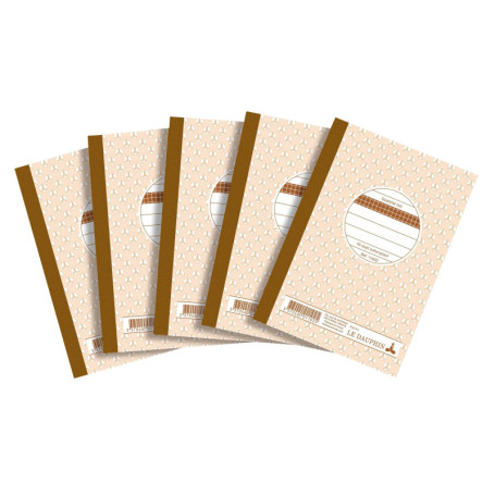 LeDauphin - Carton de 100 Feuilles Autocopiante Quadrillées 5x5 - Format 14,8 x 10,5 cm
