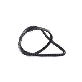 Courroie Trapézoïdale ContiTech AVX13X1175 pour Véhicules