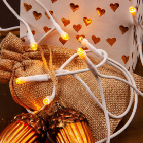 Guirlande Lumineuse LED 50 Ampoules Blanc Chaud pour Intérieur - 7,35 m