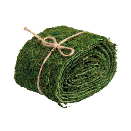 Ruban en mousse naturelle Rayher pour décoration florale - Jute vert 10cm x 2m