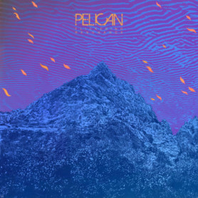 Flickering Resonance - Pelican