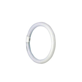 Tube Fluorescent Circulaire 22W Glowster - Éclairage Énergétiquement Efficace