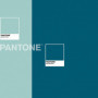 Housse de Couette Two Colours Pantone 56,99 €