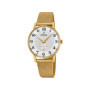 Montre Festina Homme Dorée en Acier Inoxydable - F20569/1