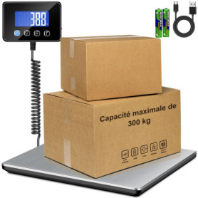 Balance Colis Professionnelle RAOYAN 300kg avec Écran LCD et Fonction Tarage