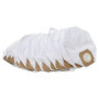 Lot de 15 sacs pour aspirateur Gtech HyLite - Paxanpax PFC1219