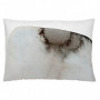 Housse de coussin Naturals Pebble (50 x 30 cm) 15,99 €