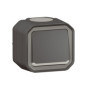 Bouton Poussoir Étanche NO Lumineux LEGRAND Plexo Anthracite 10A IP55