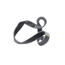 Courroie trapézoïdale nervurée Bosch 6PK800 pour véhicules Citroën et Peugeot