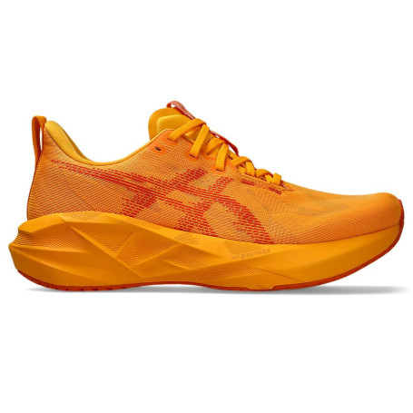 Chaussures de Running ASICS NOVABLAST 5 - Confort et Performance