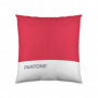 Housse de coussin Pantone Stripes (50 x 50 cm) 16,99 €