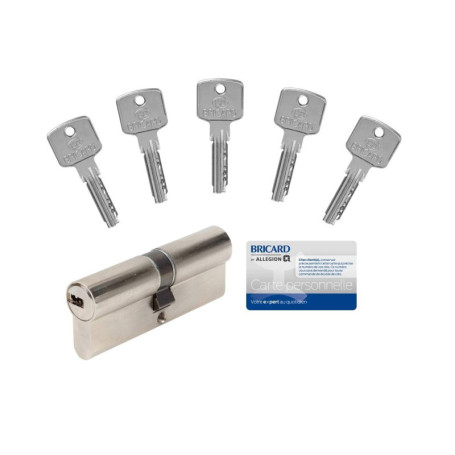 Cylindre de sécurité Bricard A6 40+40 avec 5 clés réversibles