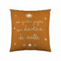 Housse de coussin Haciendo el Indio Ice Age (40 x 40 cm) 15,99 €