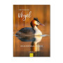 Calendrier Semainier 2026 Edition Seidel - Oiseaux Magnifiques en A4