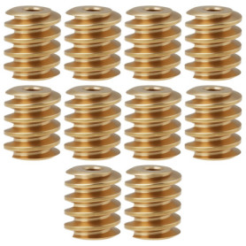 Lot de 10 Engrenages à Vis Sans Fin en Laiton M0,4 pour Trains Miniatures