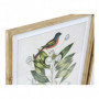 Cadre DKD Home Decor Bird Tropical Oiseaux (55 x 2,5 x 70 cm) (4 Unités) 269,99 €