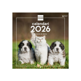 Calendrier Mural 2026 Finocam - Chiens et Chats, 30 x 30 cm