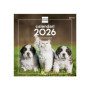 Calendrier Mural 2026 Finocam - Chiens et Chats, 30 x 30 cm