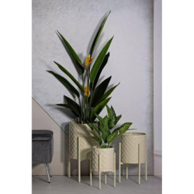 Lot de 3 Porte-vases Buller en Crème - Accessoire de Décoration Élégant