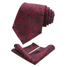 Ensemble Cravate en Soie Rouge Foncé avec Pinces et Pochette - JEMYGINS