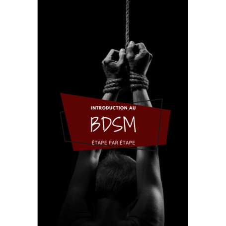 Guide Pratique du BDSM : Initiation et Techniques pour Couples