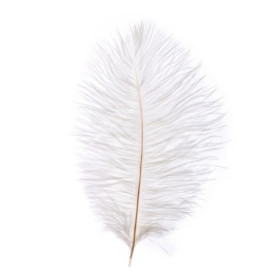 Plumes d'Autruche Artificielles Blanches - 10 Pièces pour Décoration de Mariage et Bricolage