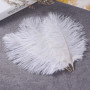 Plumes d'Autruche Artificielles Blanches - 10 Pièces pour Décoration de Mariage et Bricolage