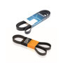 Kit Courroie et Galet d'Accessoire Procodis KGA4004