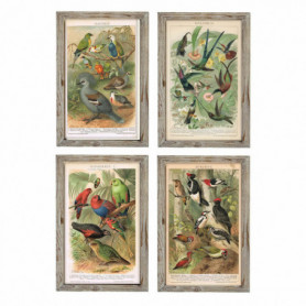 Cadre DKD Home Decor Oiseaux (45 x 2 x 65 cm) (4 Unités) 149,99 €