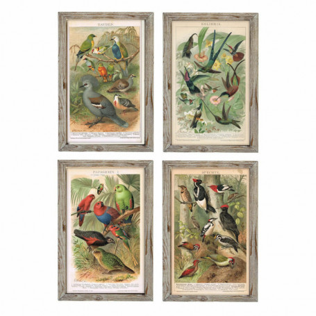 Cadre DKD Home Decor Oiseaux (45 x 2 x 65 cm) (4 Unités) 149,99 €