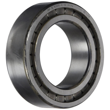 Roulement à rouleaux cylindriques INA SL183011-XL haute capacité