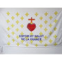 Drapeau Fleur de Lys Or ESF 90x60 cm - AZ FLAG