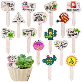 Ensemble de 15 Étiquettes en Bois T-Type pour Jardin et Potager