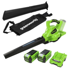 Aspirateur Souffleur de Feuilles 40V Greenworks avec Batteries et Chargeur