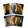 Cahiers WILD A4 - Lot de 10 avec Couvertures Animaux
