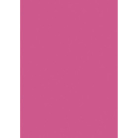Papier Universel Fuchsia A4 - 50 Feuilles 80 g/m²