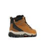 Bottes de Randonnée Imperméables Columbia Newton Ridge Plus II pour Homme