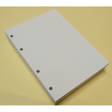 Recharge de 200 Feuilles Blanches A5 120gsm pour Agenda Organiseur