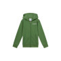 Sweat à Capuche Champion Legacy Vert pour Garçon XL