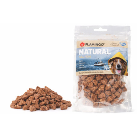 Friandises Nature Triangles au Saumon pour Chien - 75 g - Sans Gluten