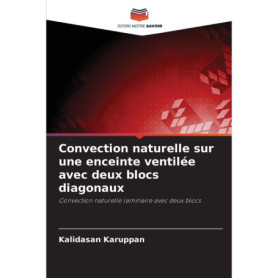 Convection Naturelle sur Enceinte Ventilée avec Blocs Diagonaux