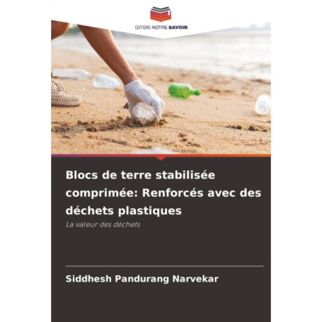 Blocs de Terre Stabilisée Comprimée Renforcés avec Déchets Plastiques