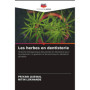 Les Herbes en Dentisterie : Guide Pratique pour Soins Bucco-Dentaires Durables