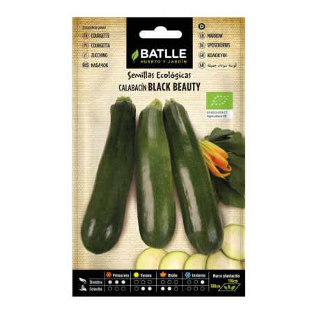 Graines Bio de Courgette Black Beauty - Semences Semillas Batlle
