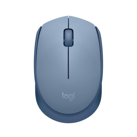 Souris Sans Fil Logitech M171 - Autonomie 12 Mois, Ambidextre, Gris
