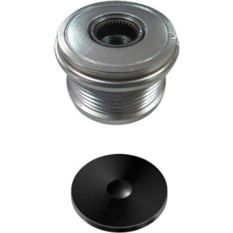 Poulie de Roue Libre Hella pour Alternateur - M16x1,5, 6 Gorges avec Cache