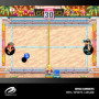 Collection Arcade Evercade : Windjammers & Karnov