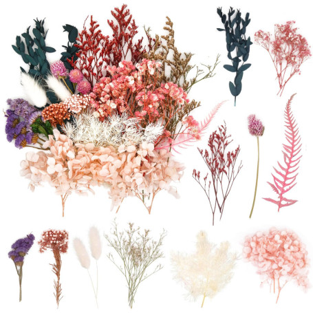 Kit de Fleurs Séchées Naturelles Multicolores pour Bricolage et Décoration