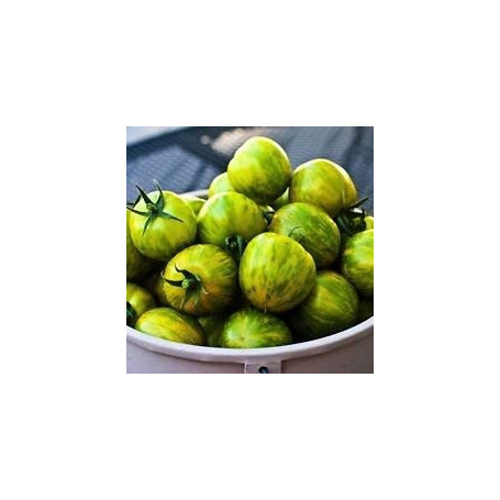 100 Graines Bio de Tomate Green Zebra - Semences Nouvelles 2017